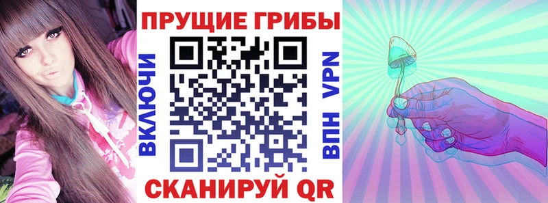 Псилоцибиновые грибы прущие грибы  Купить закладки  Краснотурьинск 